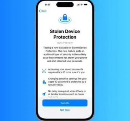 建平苹果授权维修店分享被盗设备保护功能开启方法 