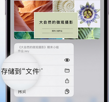 建平apple维修中心分享iPhone文件应用中存储和找到下载文件