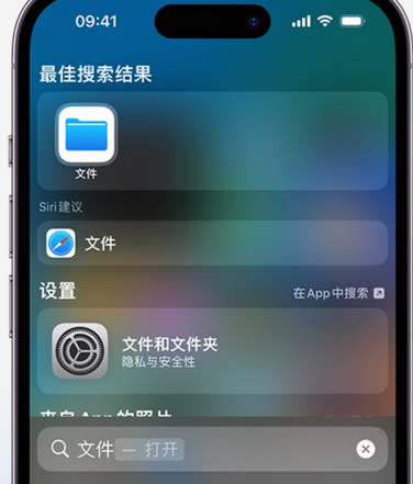 建平apple维修中心分享iPhone文件应用中存储和找到下载文件 