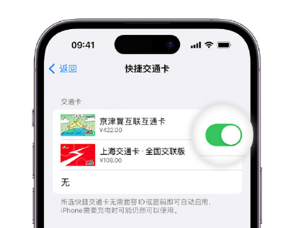 建平apple维修点分享iPhone上更换Apple Pay快捷交通卡手绘卡面 