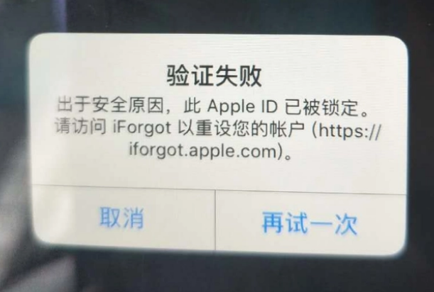 建平iPhone维修分享iPhone上正常登录或使用AppleID怎么办 