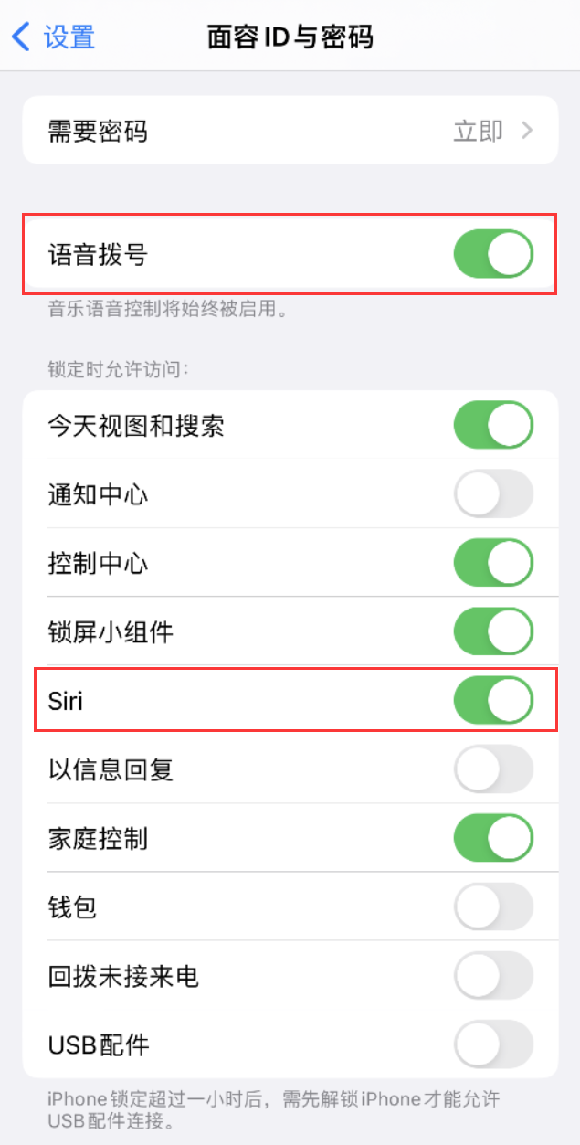 建平苹果维修网点分享不解锁 iPhone 的情况下通过 Siri 拨打电话的方法 