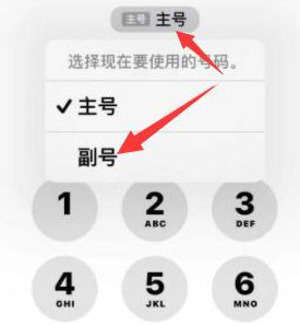 建平苹果14维修店分享iPhone 14 Pro Max使用副卡打电话的方法 