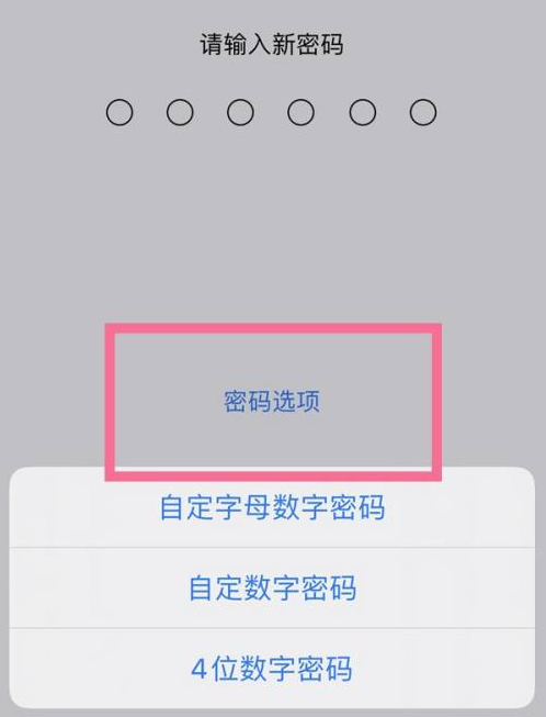 建平苹果14维修分享iPhone 14plus设置密码的方法 