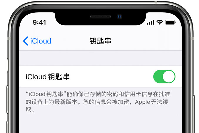 建平苹果手机维修分享在 iPhone 上开启 iCloud 钥匙串之后会储存哪些信息 