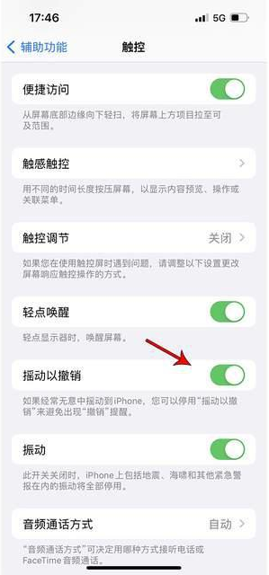 建平苹果手机维修分享iPhone手机如何设置摇一摇删除文字 