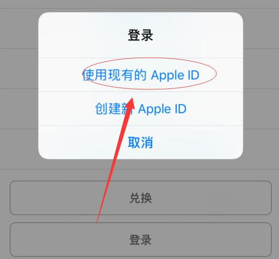 建平苹果手机维修分享两台iPhone设备可以同时登录一个Apple ID吗 