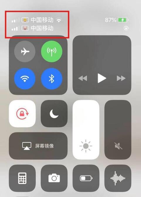 建平苹果手机维修分享为 iPhone 12 双卡设置标签 